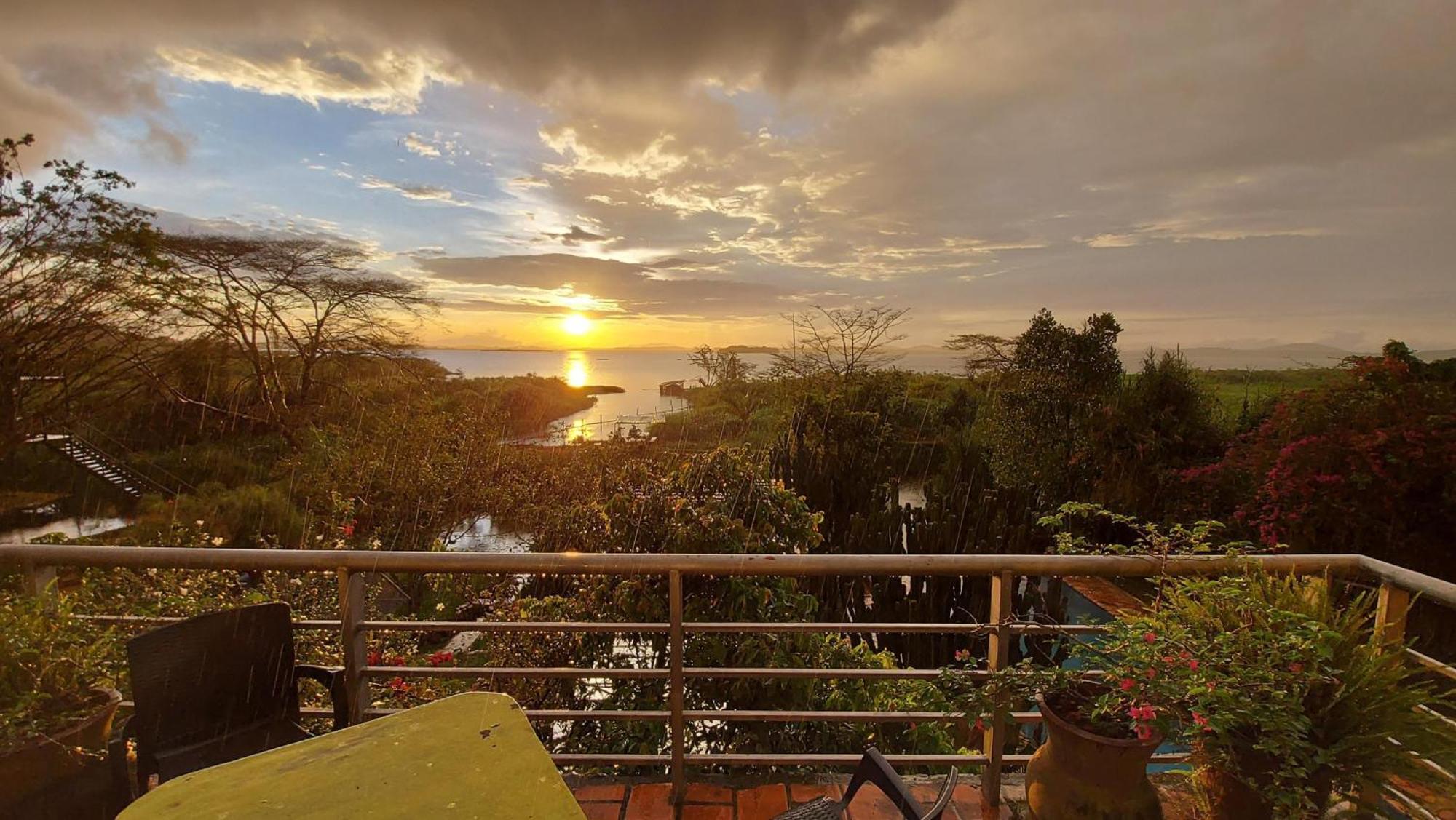 Yellow Haven Lodge Kampala Bagian luar foto