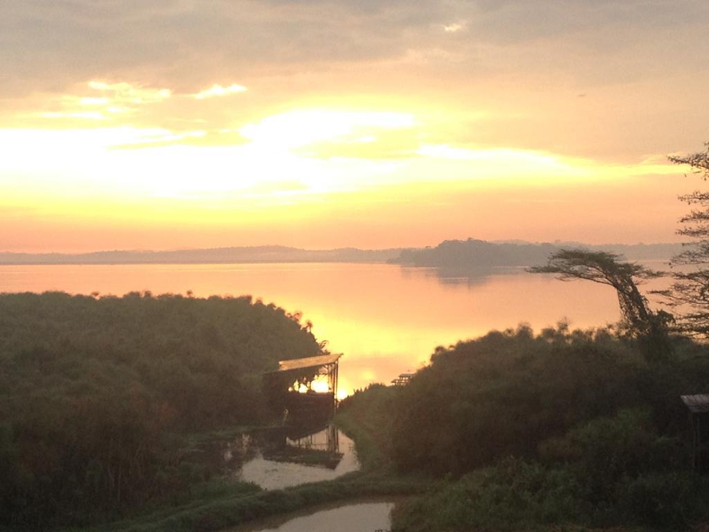 Yellow Haven Lodge Kampala Bagian luar foto