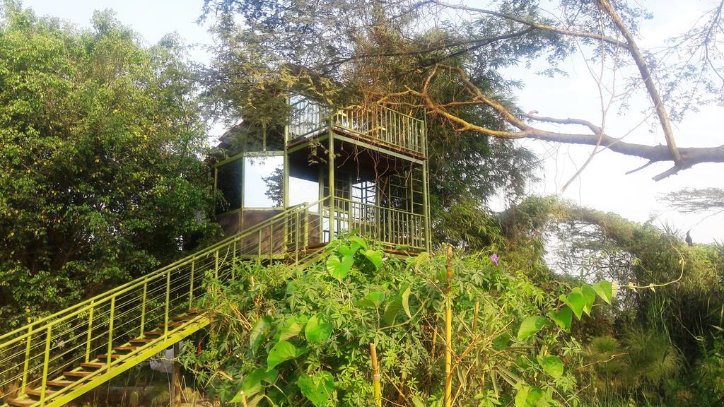 Yellow Haven Lodge Kampala Bagian luar foto